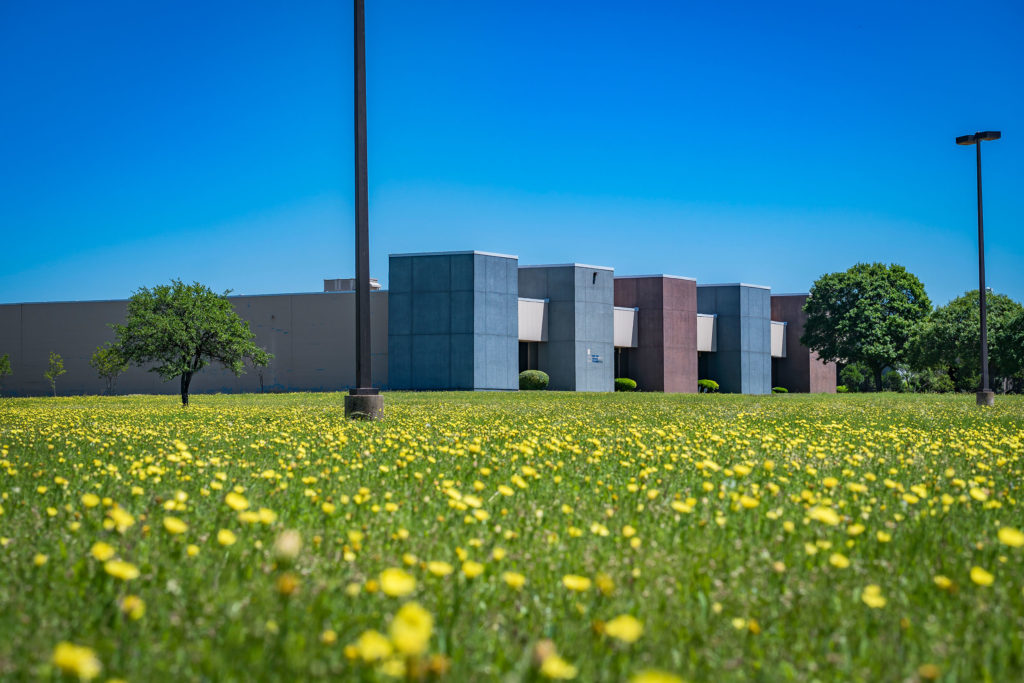 An open field and office building in Temple, TX