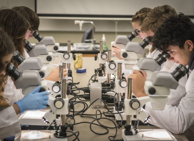 Students use microscopes at the Texas Bio Institute in Temple, TX