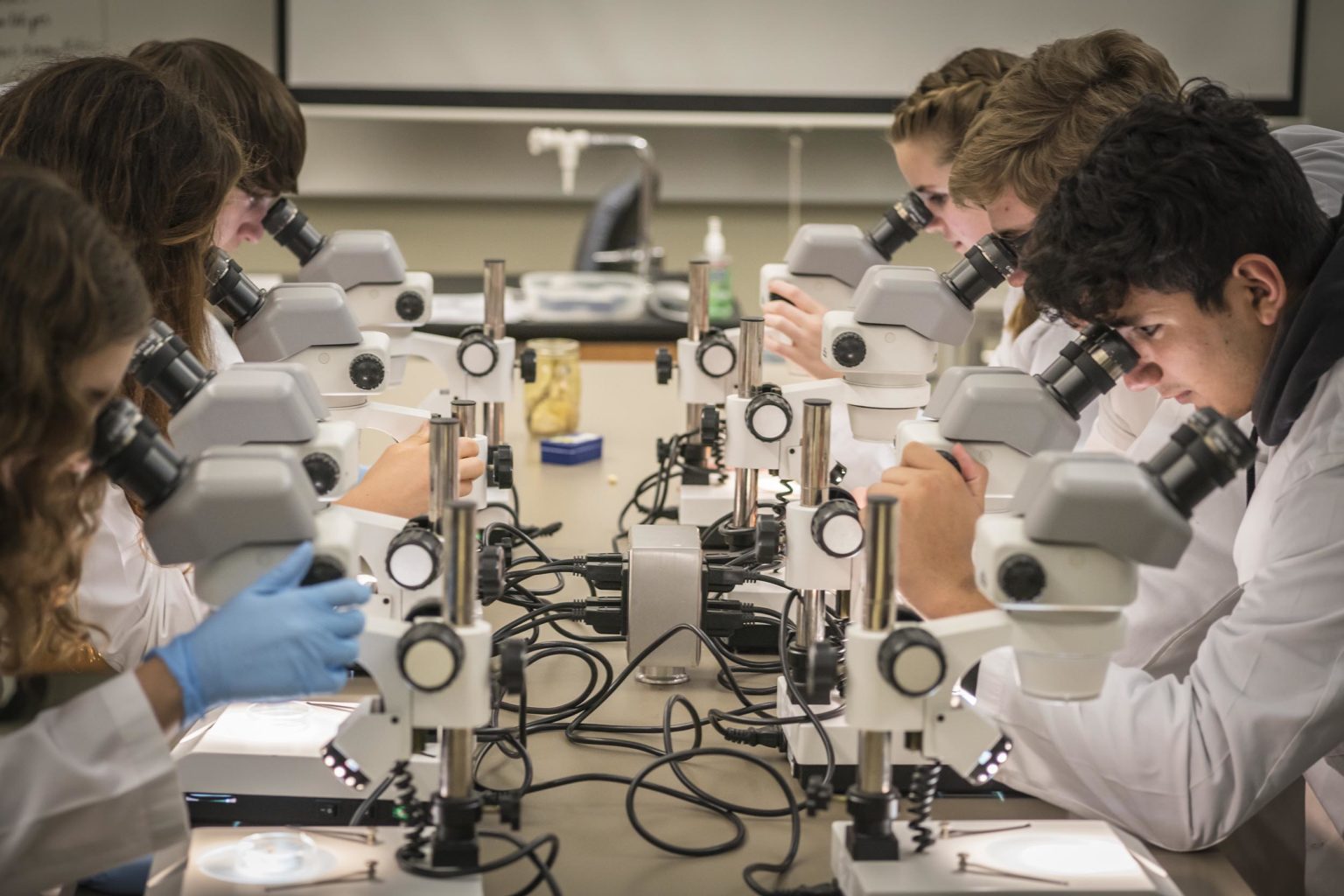 Students use microscopes at the Texas Bio Institute in Temple, TX