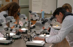 bioscience students look through microscopes at TMEC