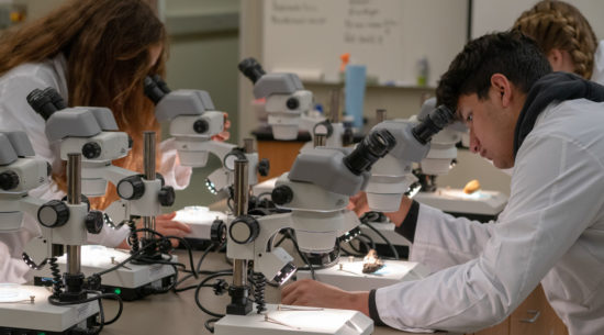 bioscience students look through microscopes at TMEC
