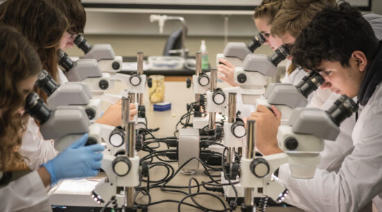 Photo of students in a scientific laboratory doing research.